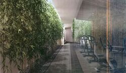 The Woods (D22), Terrace #582443921